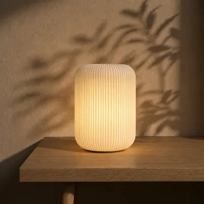 Lampe à ailettes — objet imprimé en 3D par PureFlow